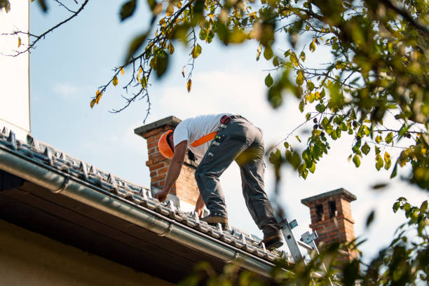 Sealant for Roof in Port Ludlow, WA