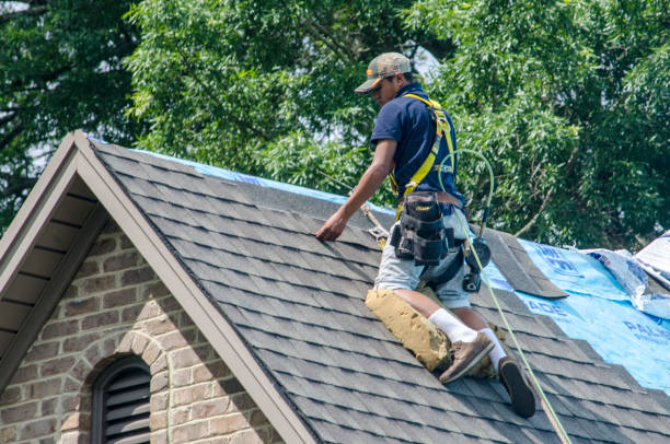 Best Roof Leak Repair  in Port Ludlow, WA
